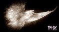 /album/kepgaleria-vilag-003/phoenix-1-jpeg/